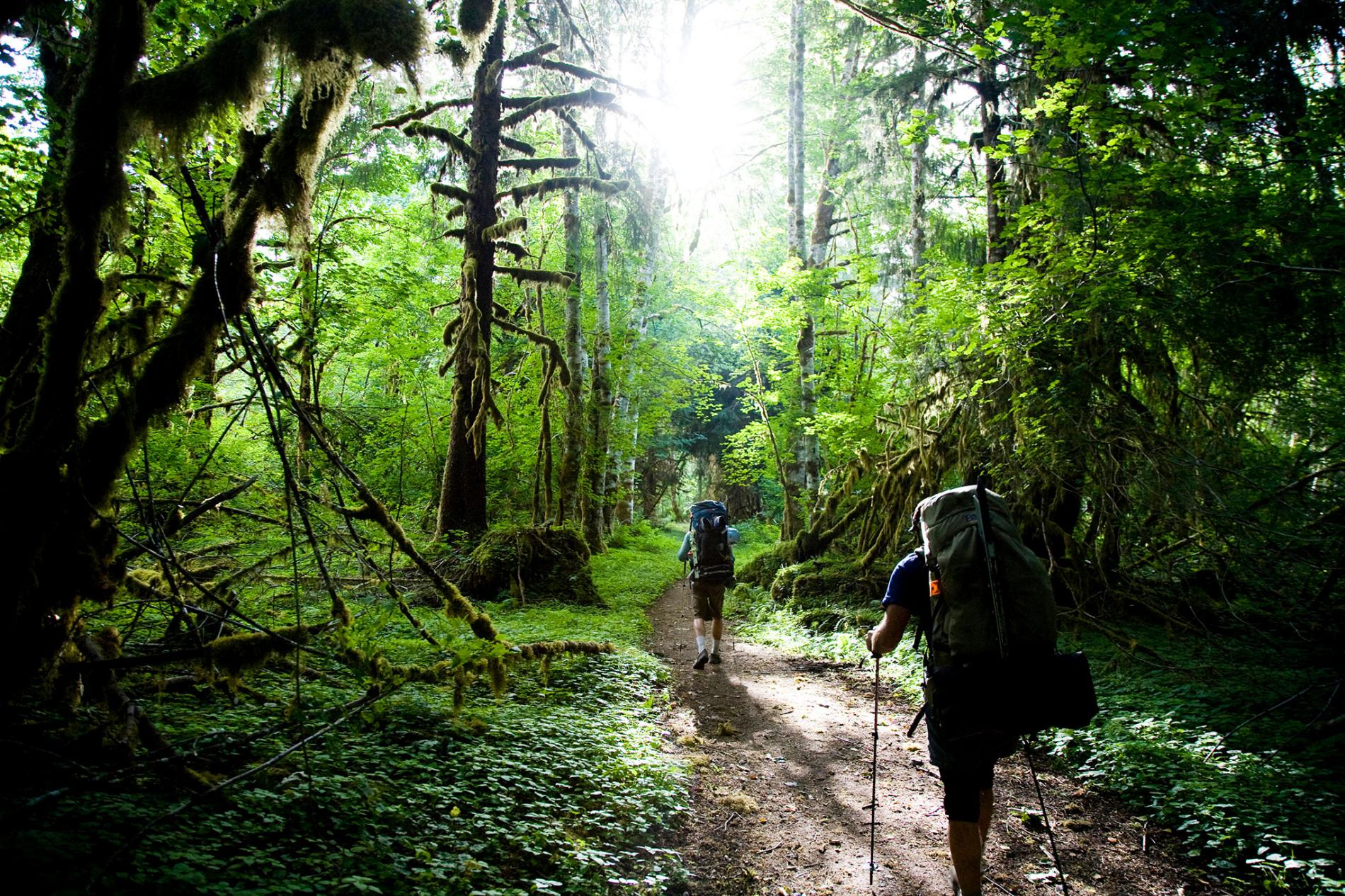 ХСН Рюкзак Горный, 80 л.